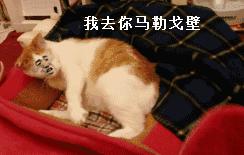 老师居然说我不举，你为什么不举？全班就你一个人不举！