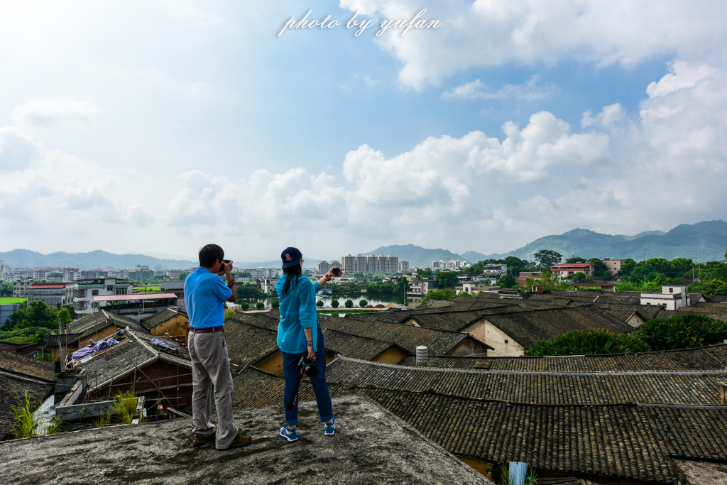 丝路奇迹:观围屋之典范,赏苏铁之传奇