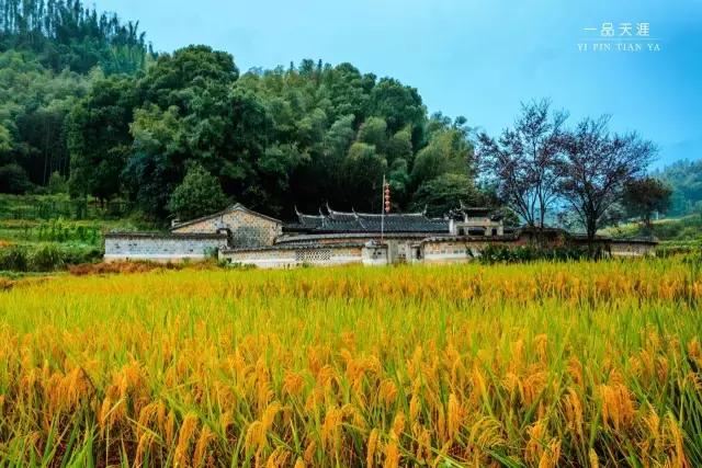 永安：抗战时期的省会，被遗忘的闽中古堡