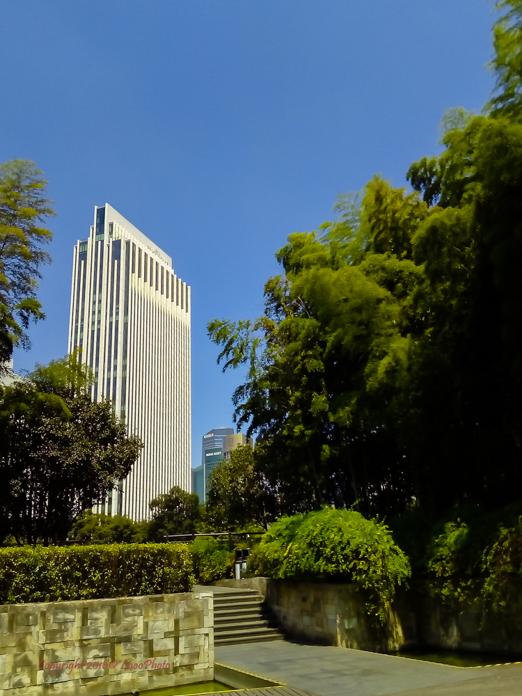 599元的荣耀畅玩5，你会买吗？