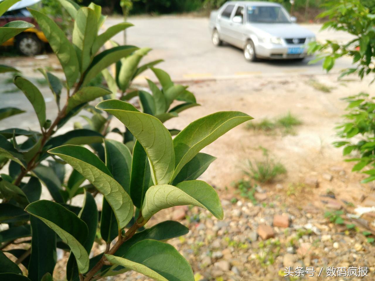 性价比最高的真我手机,乐pro3发布会