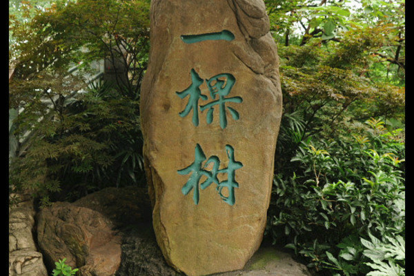 重庆免费景点一览表大全,重庆免费景点合集