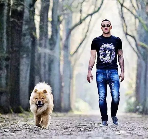 梅西狗狗,c罗和梅西家的顶级恶犬