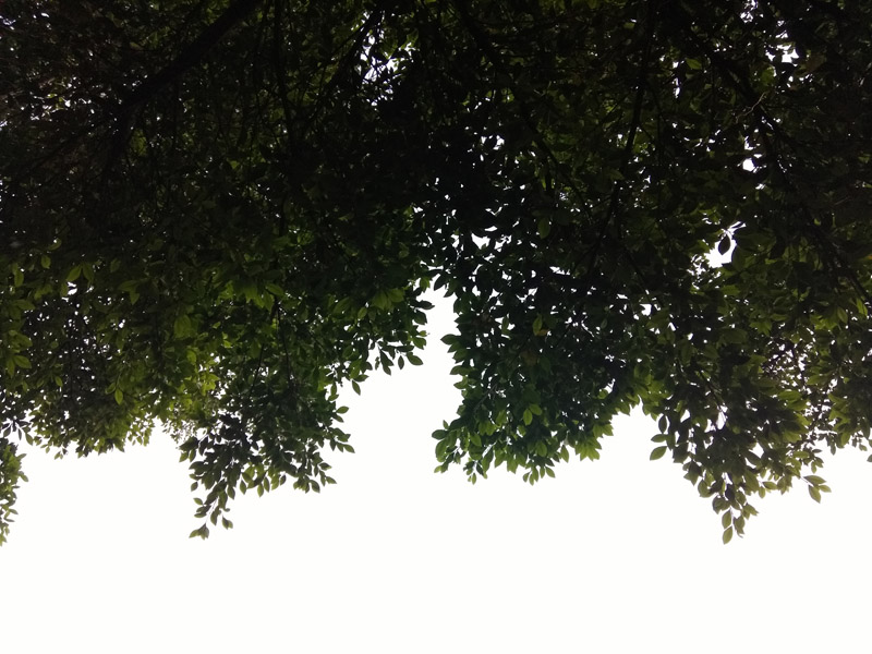 cool1dual参数,cool1dual手机