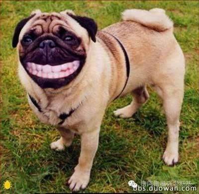 打lol可以挂机吗,lol游戏挂机