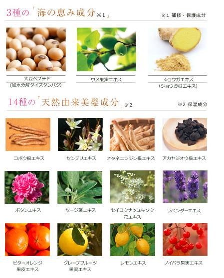 性价比超高的控油洗发水国货,性价比很高的洗发水推荐