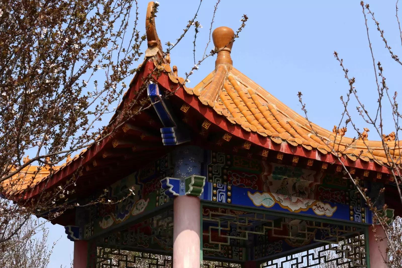 初秋武商院，真的在“给点颜色我看看!