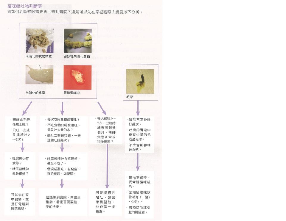 喵咪的常见病预判生病治疗可以参考