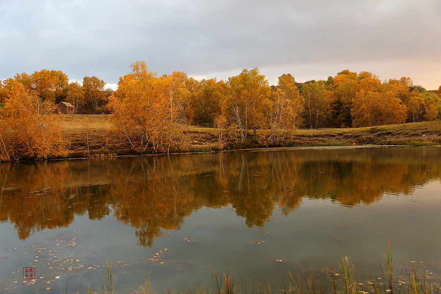 坝上草原雪景航拍,坝上草原秋景美图