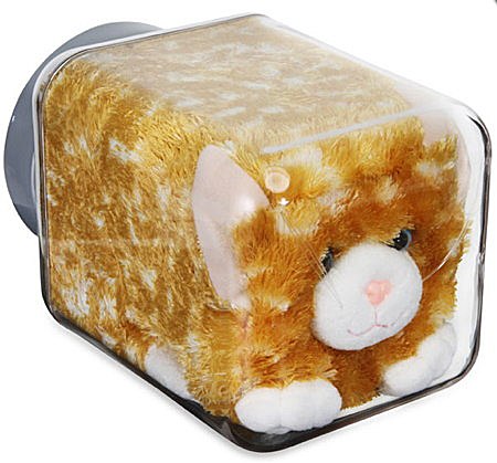 “盆景猫”这种虐猫网站为什么关不掉?!