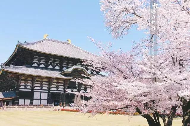 日本写给生活的情书,寄给时光的信件