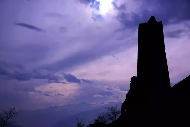 奇葩牧场|不养牛不养羊,居然养这个?