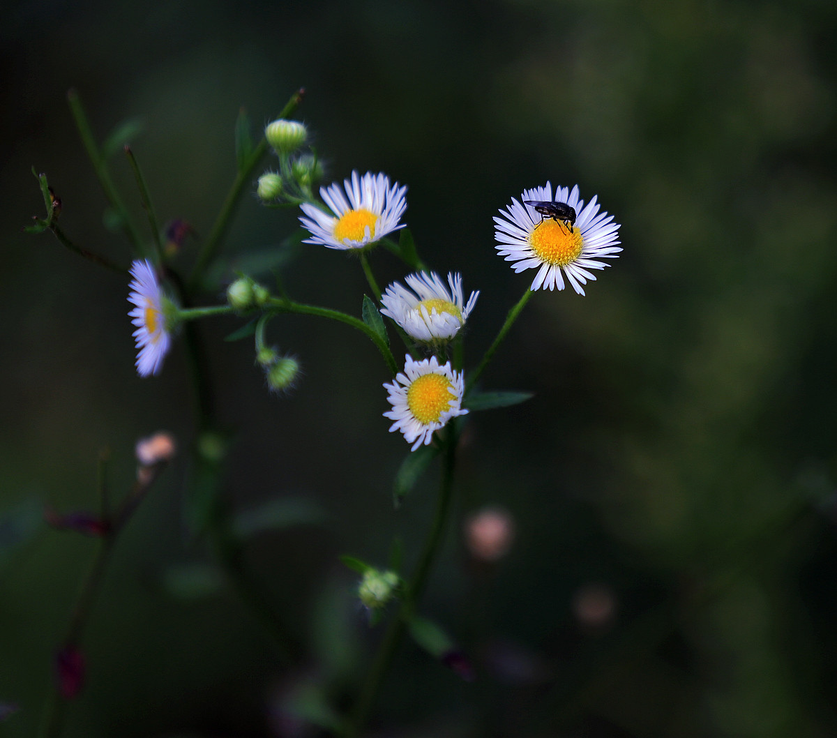我写一首诗完美地告别九月，打开十月的那扇门