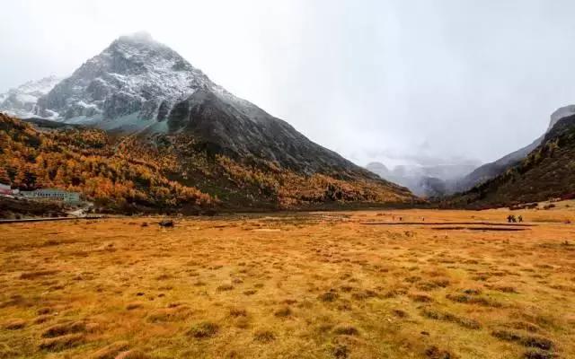 稻城从你的全世界路过片段,稻城从你的全世界路过