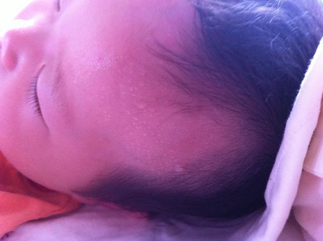 奈何世间之事总是事与愿违下一句,奈何世间尔虞我诈