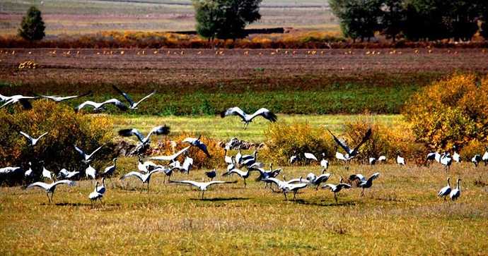 爱上多伦的八大理由——我想与草原水乡相逢