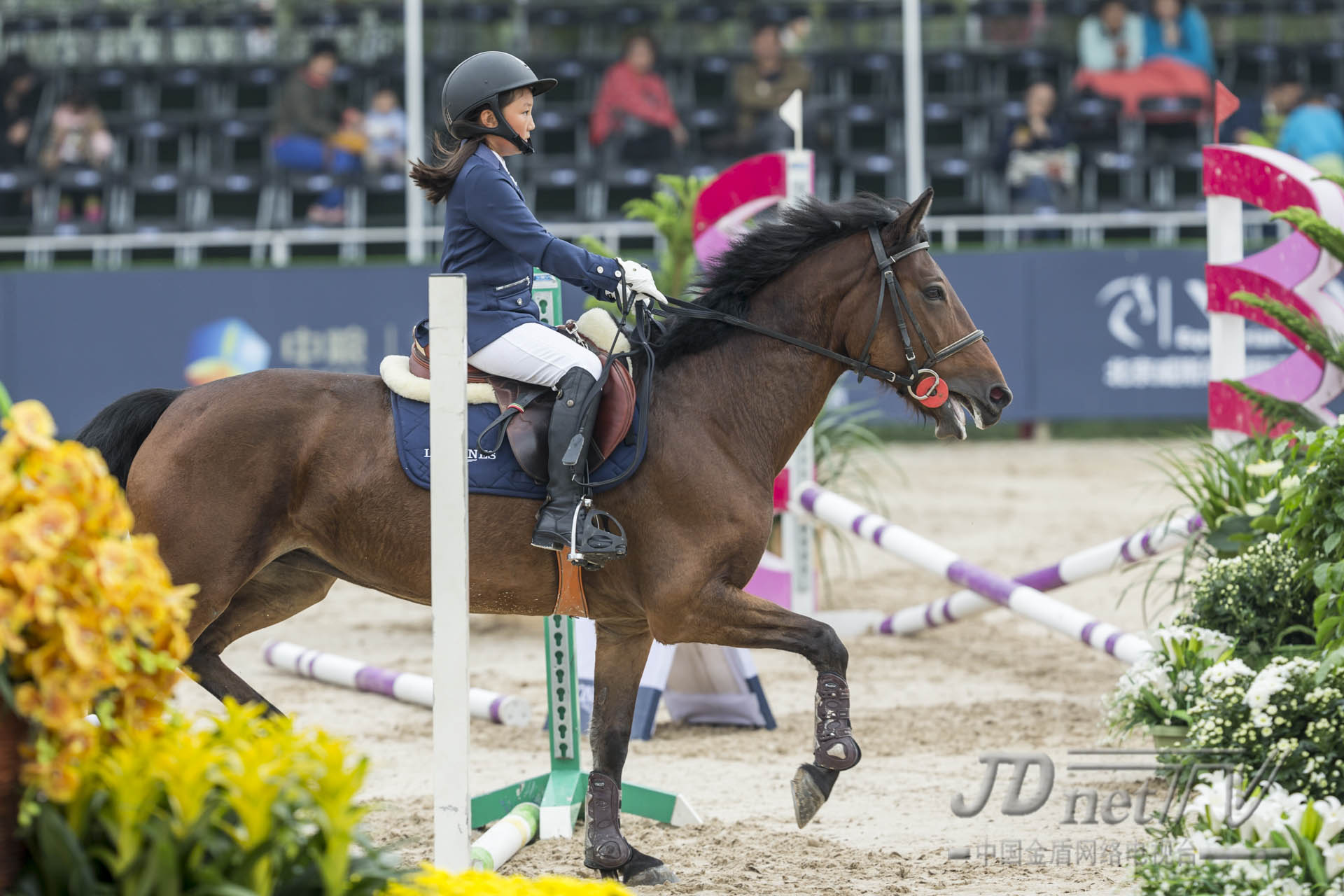 浪琴马术世界杯,浪琴马术赛程