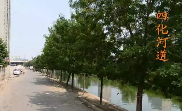 十一回老家不回家,十一回家看看回不去的老家