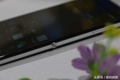 tcl950性能,tcl75v8e主要功能都有什么