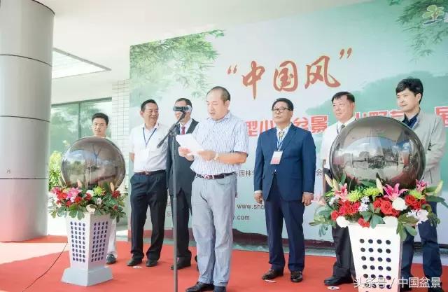 哪些野草适合微型盆景,小品盆景和微型盆景有区别吗