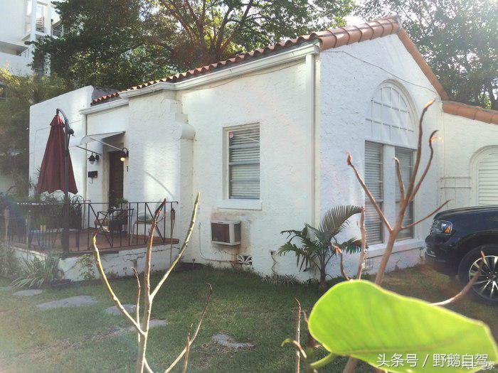 野鹅旅行,野鹅自驾无人区