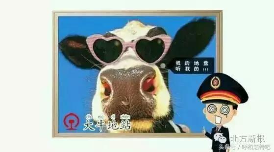 外地人对呼市的印象,呼市人被叫做什么