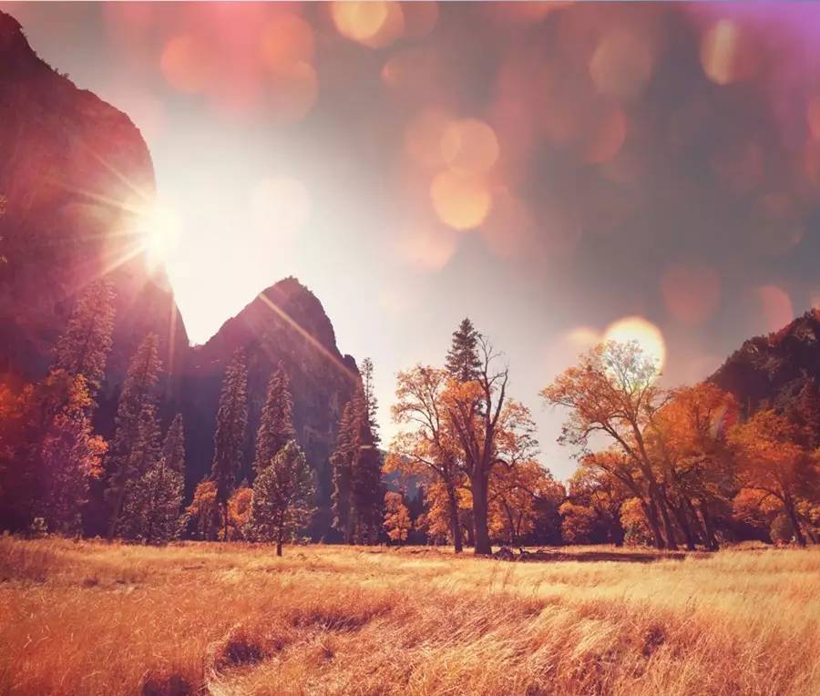 李云风作品集,李云风的小说