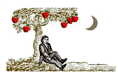 世界四个苹果,世界上有四种苹果