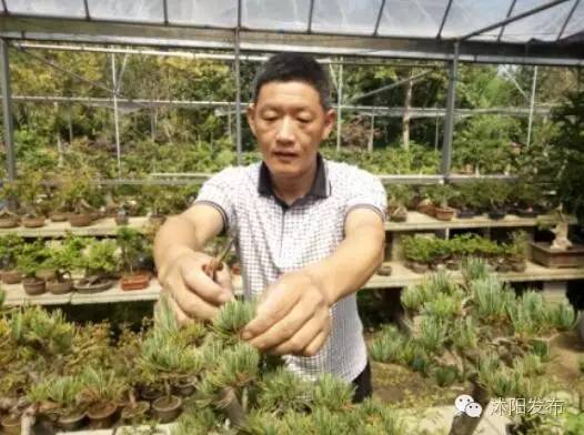 姹熻嫃娌槼鍒涗笟澶ц禌,娌槼鍗佸ぇ娣樺疂绮捐嫳