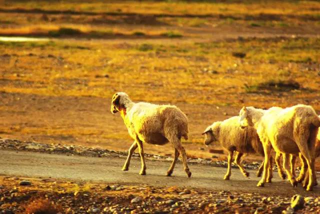 鏄庢槦鐜拌韩閾跺窛,鏄庢槦绌洪檷閾跺窛