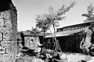 国庆美食一日游,国庆旅游各地美食推荐