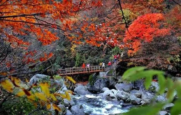 任放旅游天地云雾山——陕南的香格里拉