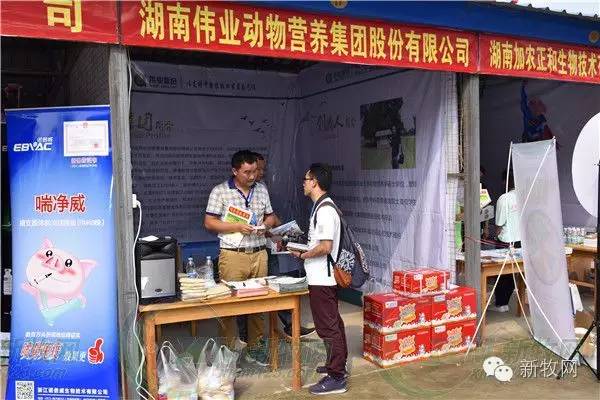 河南养猪业巨头,河南养猪身价百倍