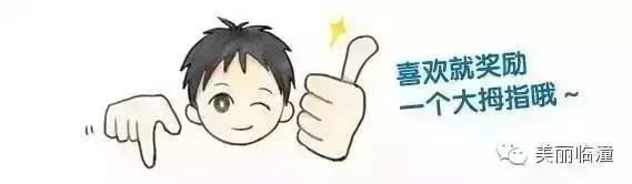 临潼石榴哪个品种最好,四川突尼斯石榴与临潼石榴