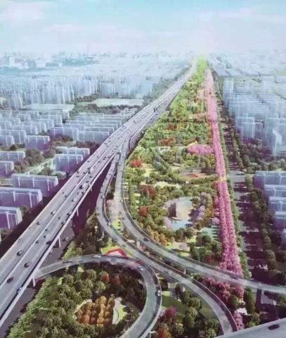 上海一周区情：申城街头添“小蓝车”金山大桥改扩建动工