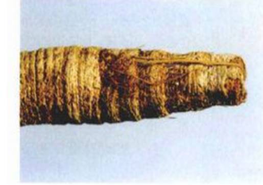 防风野生中药功效,防风功效中药药方