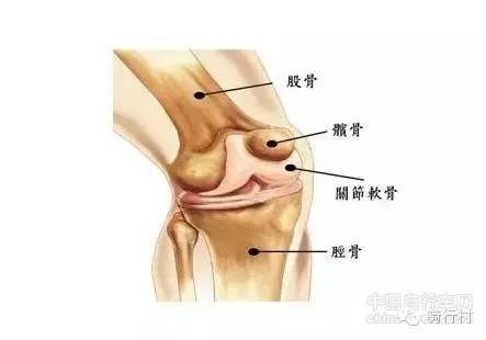 经验:必读,自行车尺寸导致的5种运动损伤!