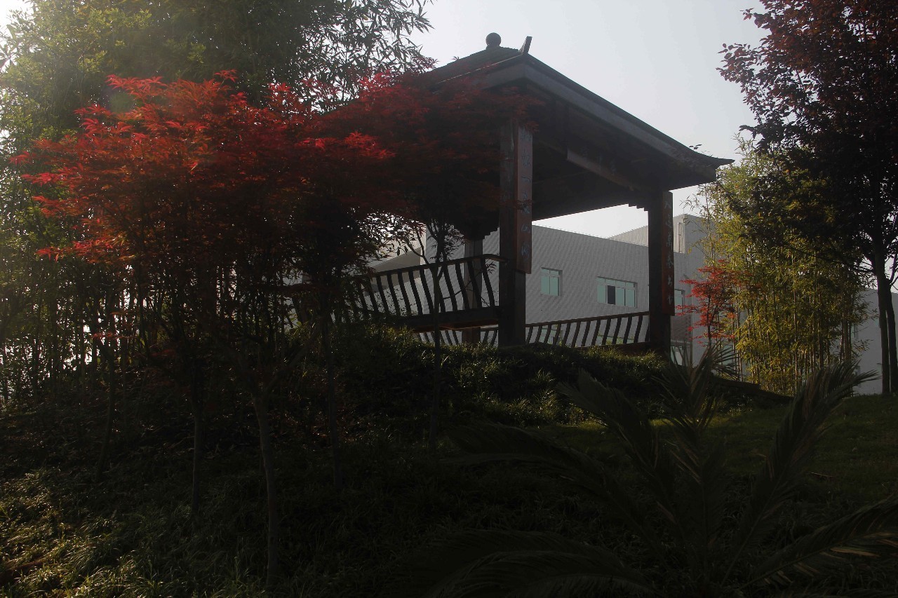 重庆北碚四十八中学里面怎么样,重庆市最美校园