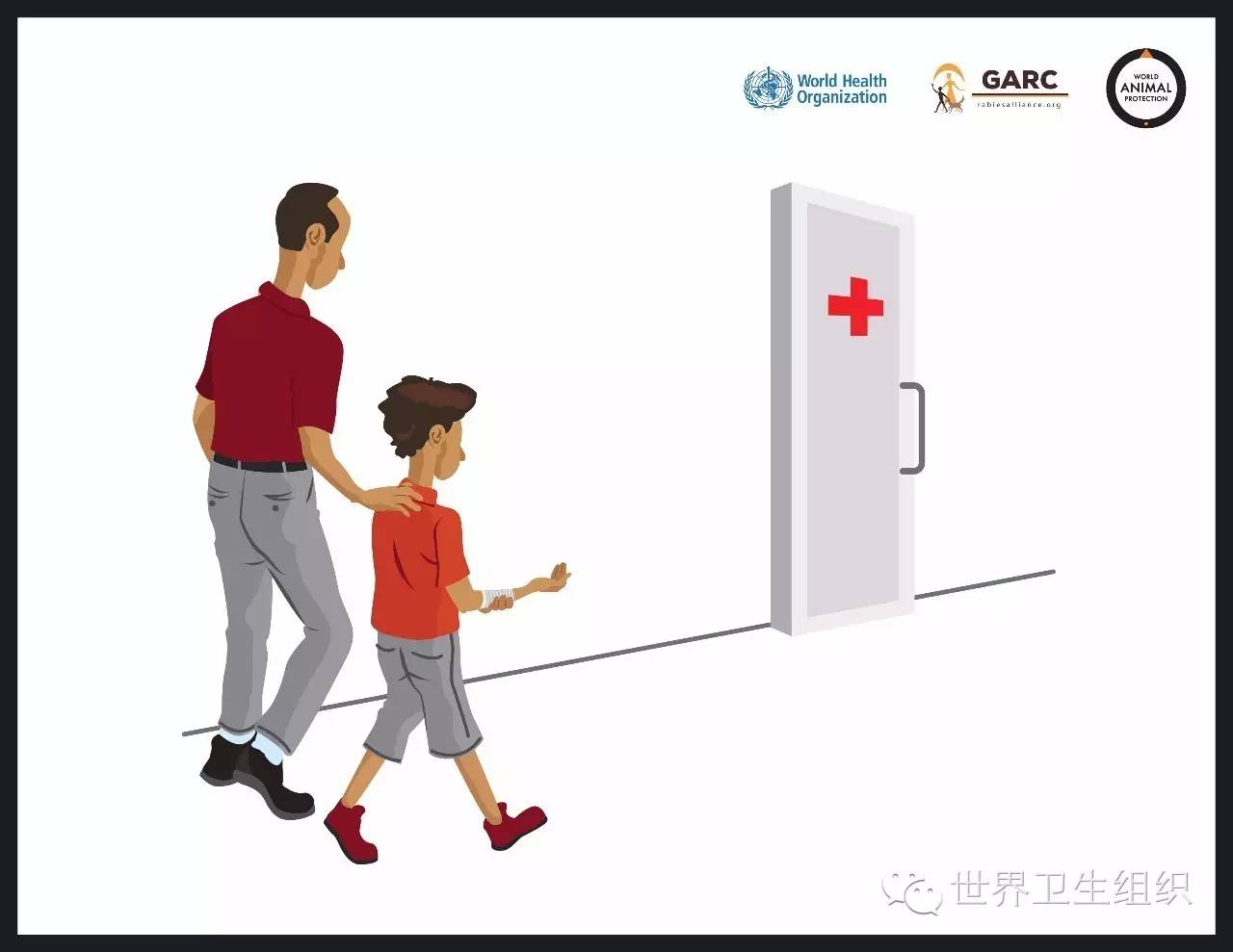 被狗咬预防方法,被狗咬了国际处理法