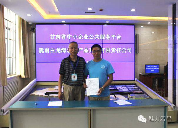 电商扶贫电商村打造,农村电商陇南成县资源整合