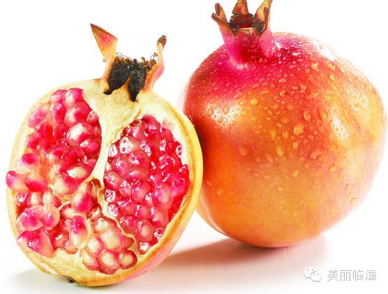 临潼石榴哪个品种最好,四川突尼斯石榴与临潼石榴