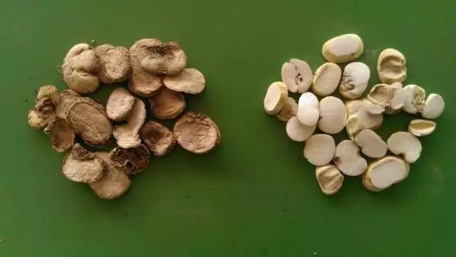 中药质量下降的主要原因,中药制剂质量存在的问题