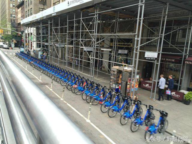 野鹅旅行,野鹅自驾无人区