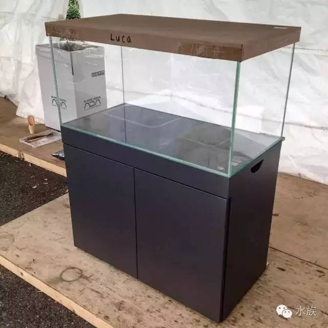 ada开缸第二天,ada开缸