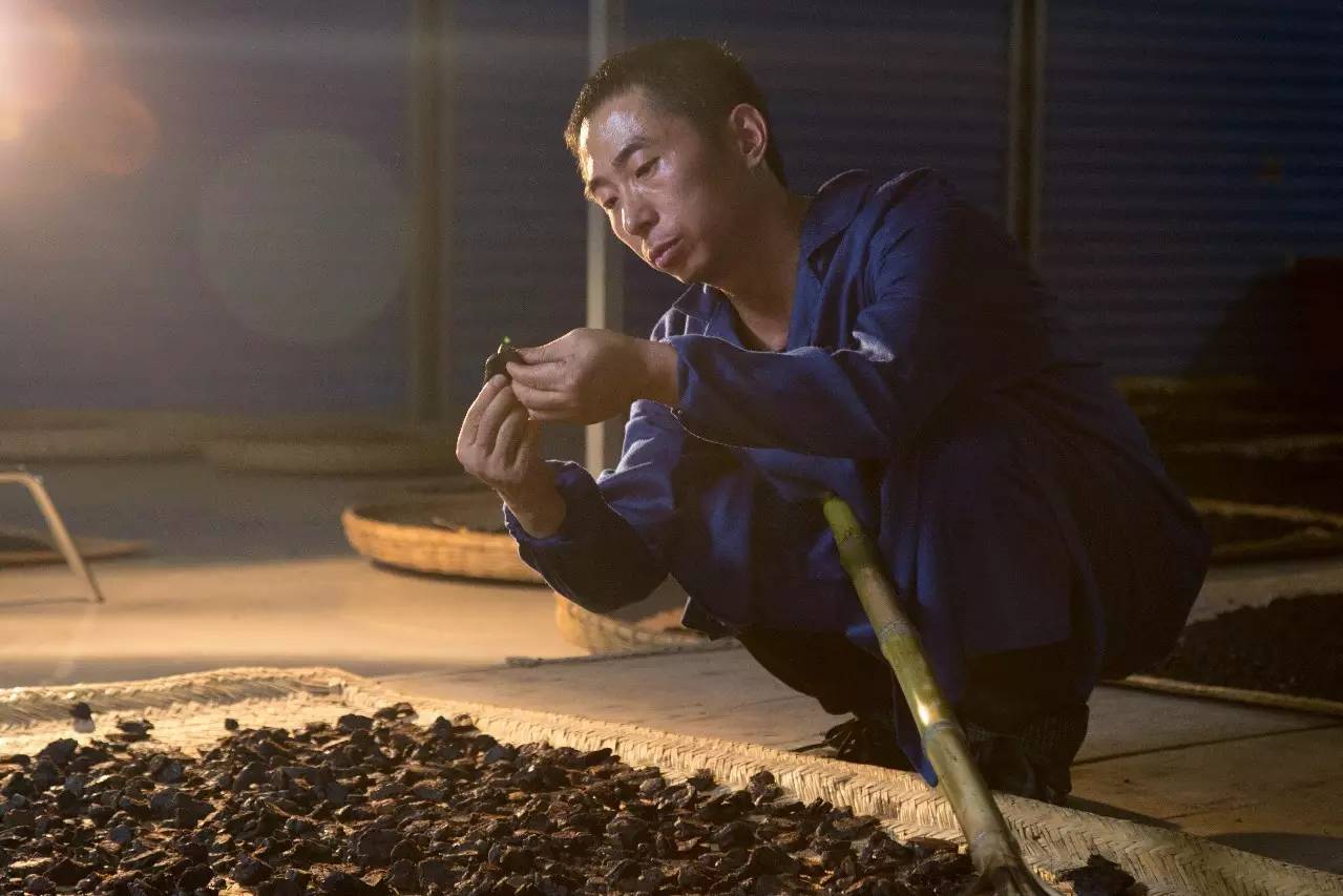 中药质量下降的主要原因,中药制剂质量存在的问题