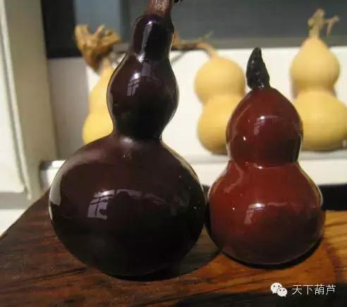 如何鉴别葫芦已经授粉,如何辨别葫芦真假