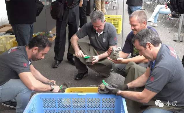 ada开缸第二天,ada开缸