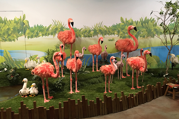 泰迪熊博物馆在韩国哪里,泰迪熊博物馆济州中文馆