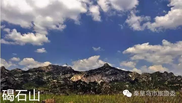 秦皇岛重阳,九九重阳节河北吃什么