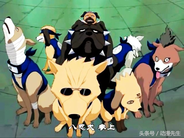 火影忍者通灵兽妙木山,妙木山和龙地洞通灵兽谁厉害